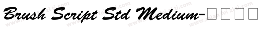 Brush Script Std Medium字体转换